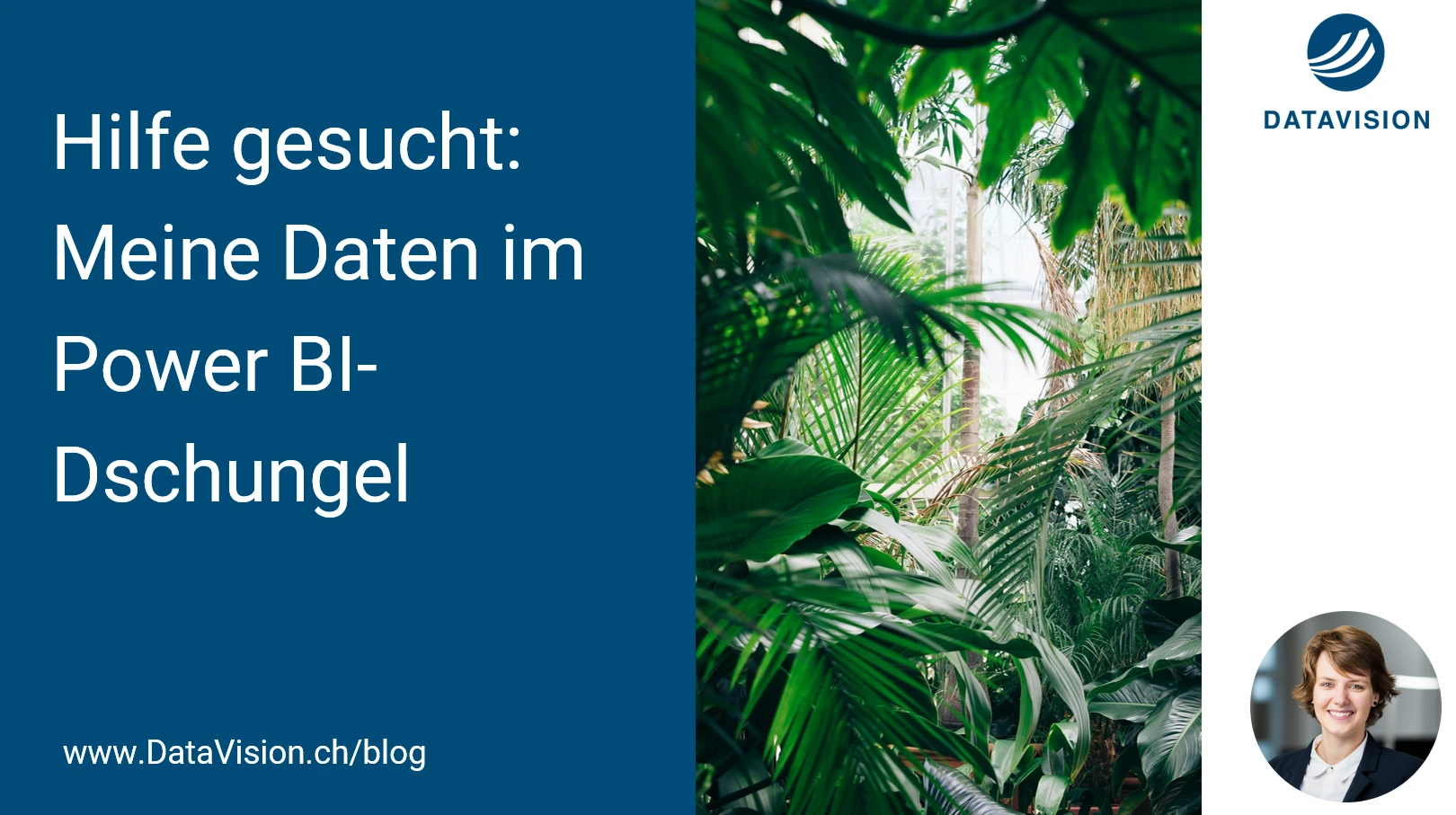 Hilfe gesucht: Meine Daten im Power BI-Dschungel